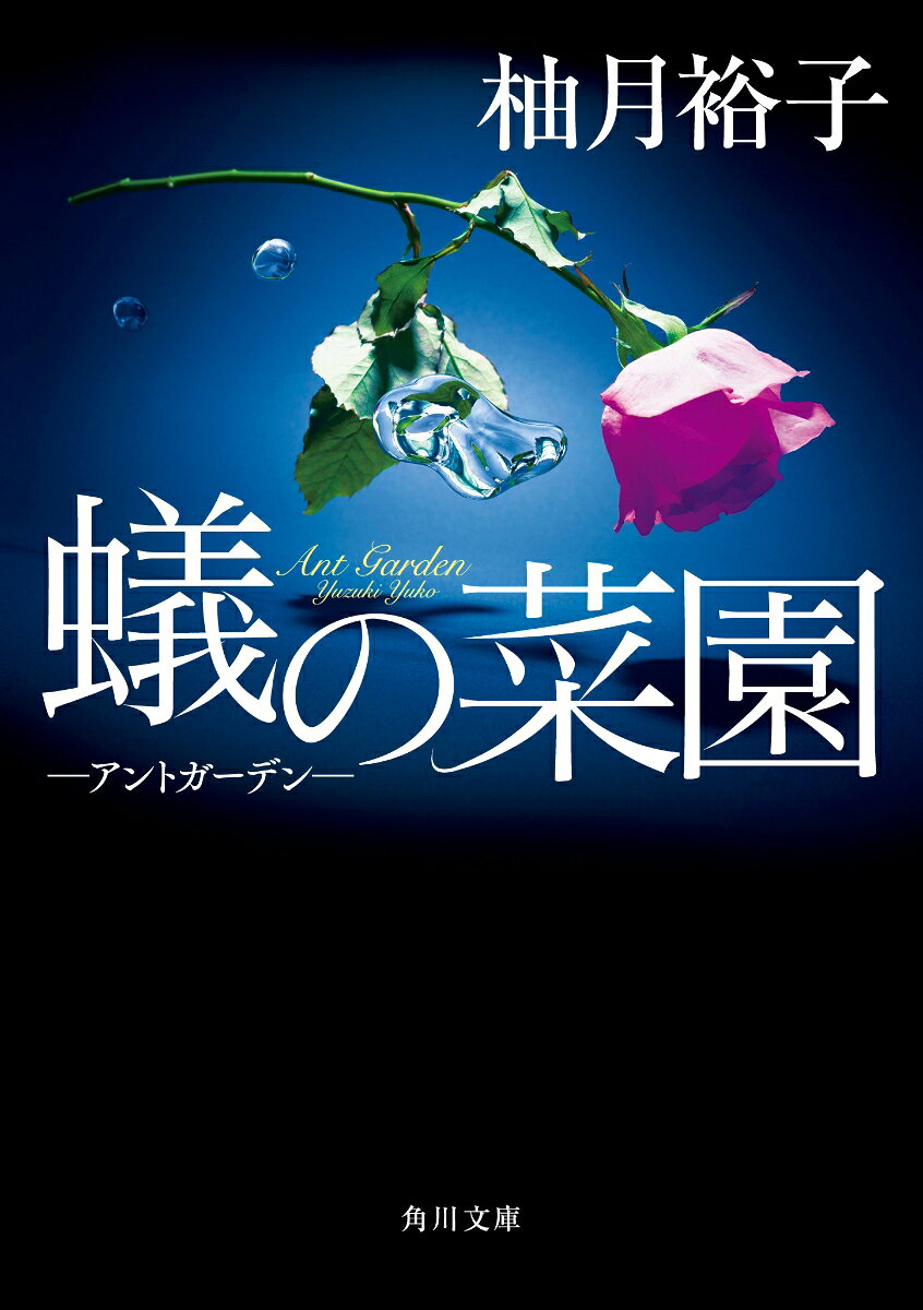 蟻の菜園 アントガーデン