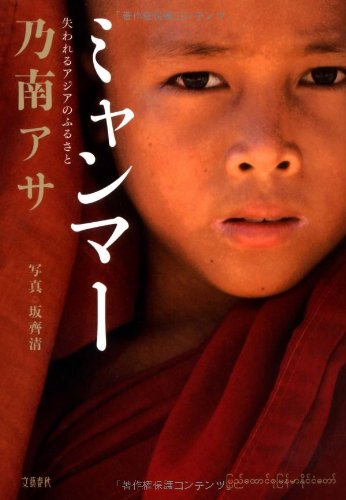 ミャンマー 失われるアジアのふるさと