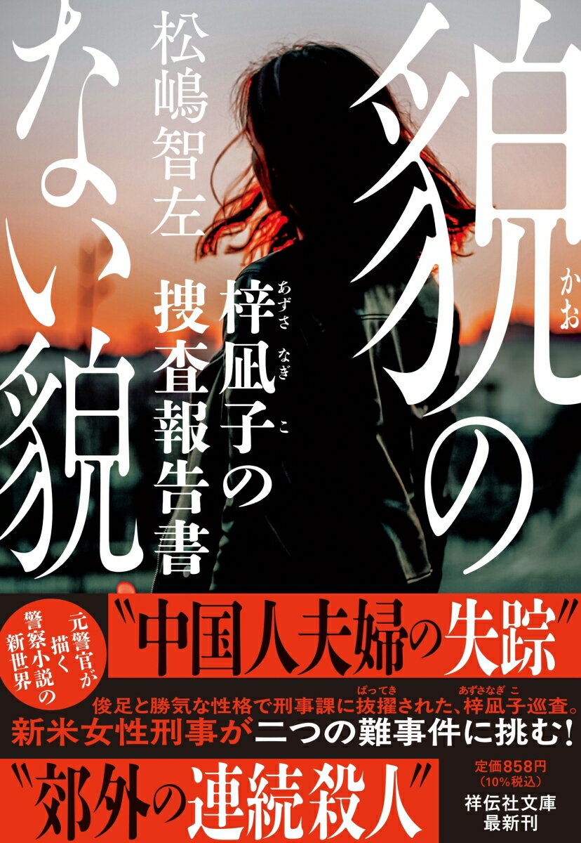 貌のない貌 梓凪子の捜査報告書