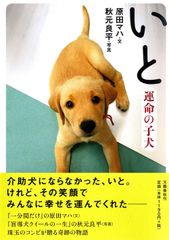 いと 運命の子犬
