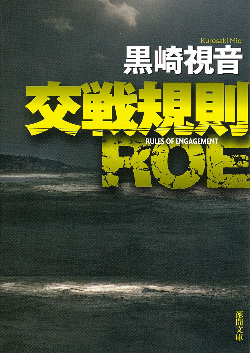 交戦規則 ROE