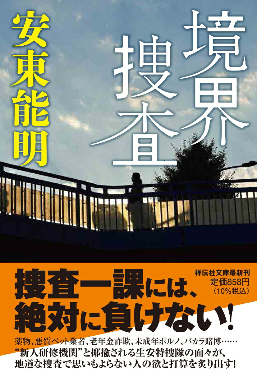 境界捜査