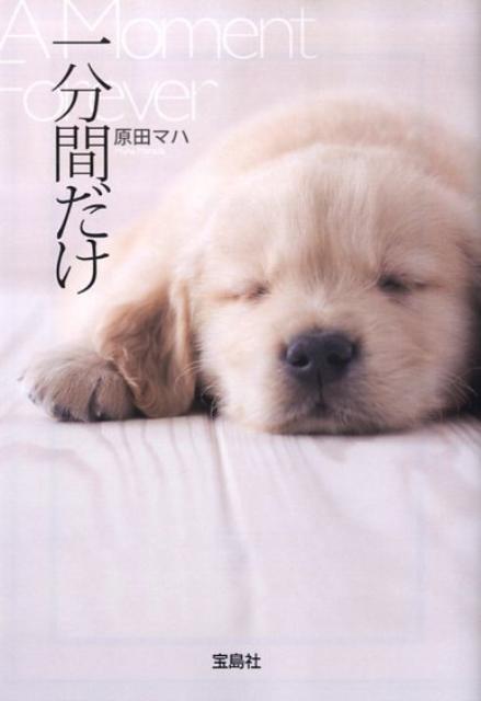 一分間だけ